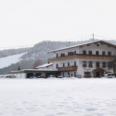 Pension Und Apartments Landhaus Marie 로이타쉬 외부 사진
